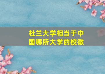 杜兰大学相当于中国哪所大学的校徽