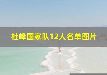 杜峰国家队12人名单图片