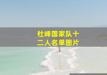 杜峰国家队十二人名单图片