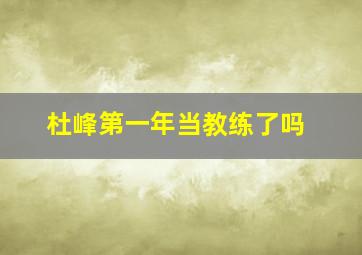 杜峰第一年当教练了吗