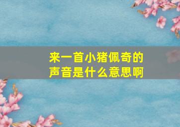 来一首小猪佩奇的声音是什么意思啊