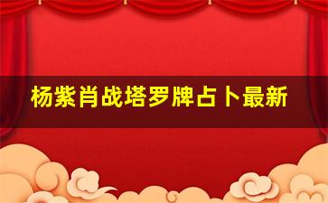 杨紫肖战塔罗牌占卜最新