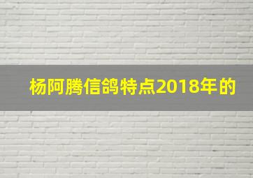 杨阿腾信鸽特点2018年的