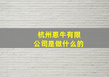 杭州恩牛有限公司是做什么的