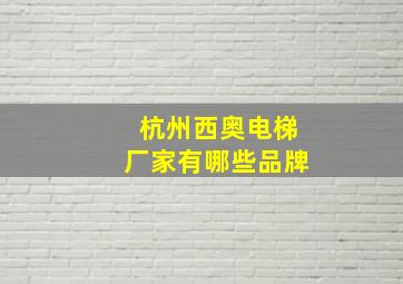 杭州西奥电梯厂家有哪些品牌