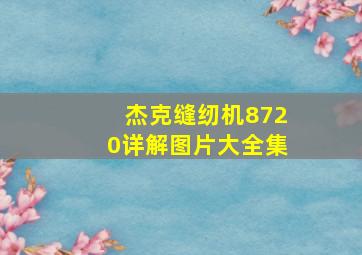 杰克缝纫机8720详解图片大全集