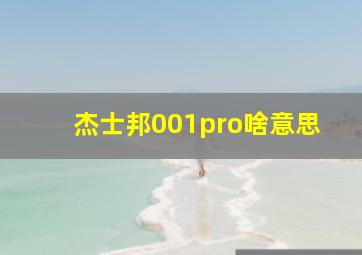 杰士邦001pro啥意思