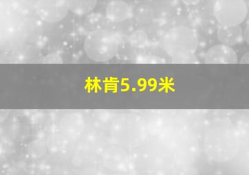 林肯5.99米