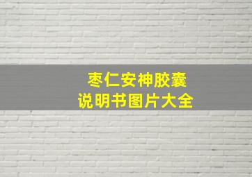 枣仁安神胶囊说明书图片大全