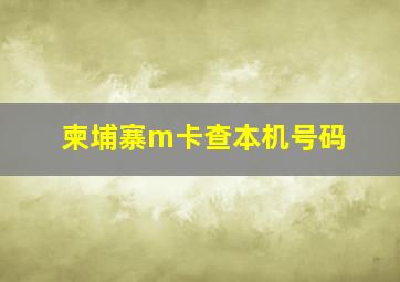 柬埔寨m卡查本机号码