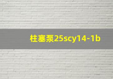 柱塞泵25scy14-1b