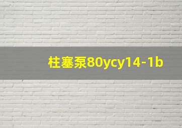 柱塞泵80ycy14-1b