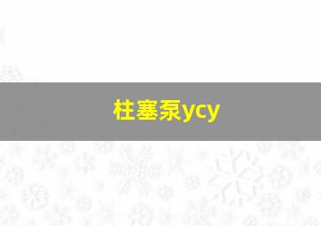 柱塞泵ycy