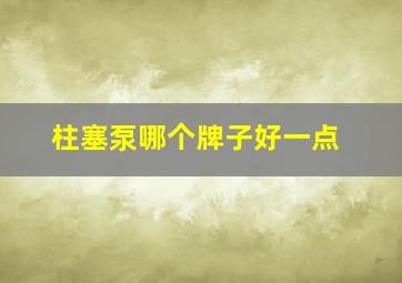 柱塞泵哪个牌子好一点