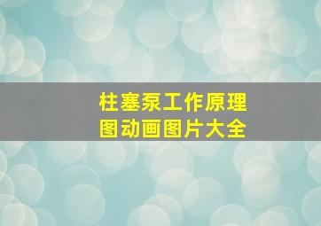 柱塞泵工作原理图动画图片大全