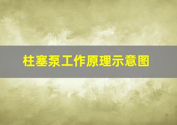 柱塞泵工作原理示意图