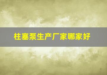 柱塞泵生产厂家哪家好