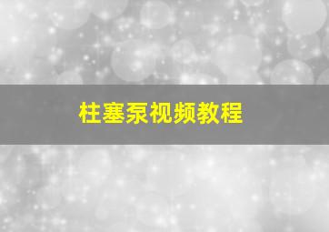 柱塞泵视频教程