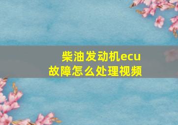 柴油发动机ecu故障怎么处理视频