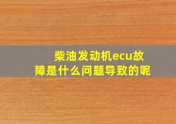 柴油发动机ecu故障是什么问题导致的呢