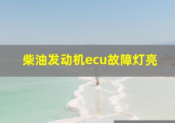 柴油发动机ecu故障灯亮