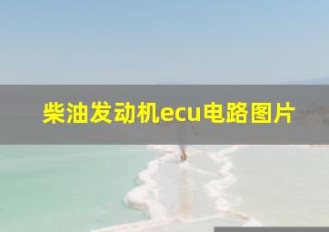 柴油发动机ecu电路图片