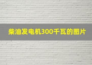 柴油发电机300千瓦的图片