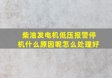 柴油发电机低压报警停机什么原因呢怎么处理好