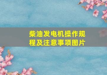 柴油发电机操作规程及注意事项图片