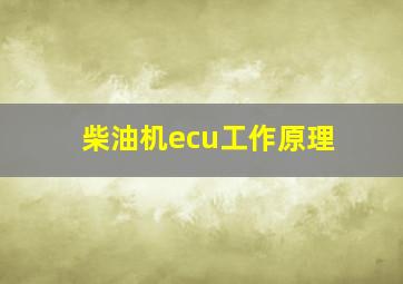 柴油机ecu工作原理