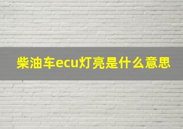 柴油车ecu灯亮是什么意思