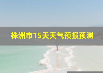 株洲市15天天气预报预测