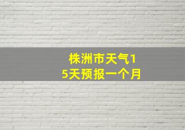 株洲市天气15天预报一个月