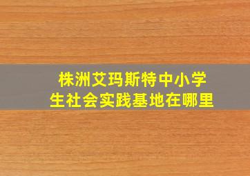 株洲艾玛斯特中小学生社会实践基地在哪里