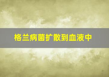 格兰病菌扩散到血液中