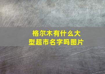 格尔木有什么大型超市名字吗图片