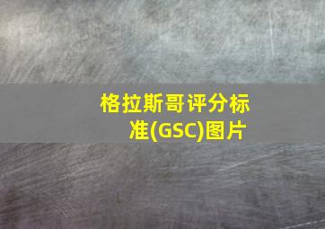 格拉斯哥评分标准(GSC)图片