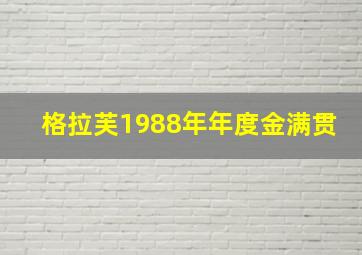 格拉芙1988年年度金满贯