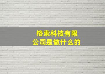 格索科技有限公司是做什么的