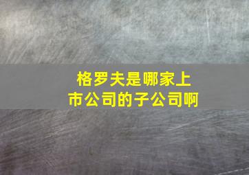 格罗夫是哪家上市公司的子公司啊