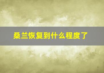 桑兰恢复到什么程度了