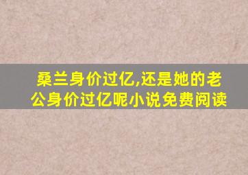 桑兰身价过亿,还是她的老公身价过亿呢小说免费阅读