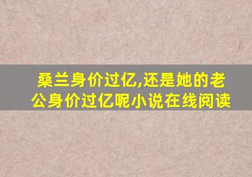 桑兰身价过亿,还是她的老公身价过亿呢小说在线阅读