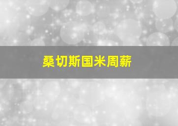 桑切斯国米周薪