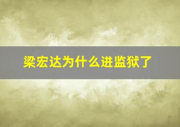 梁宏达为什么进监狱了