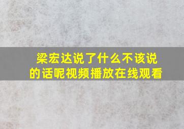 梁宏达说了什么不该说的话呢视频播放在线观看