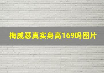 梅威瑟真实身高169吗图片