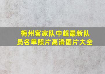 梅州客家队中超最新队员名单照片高清图片大全