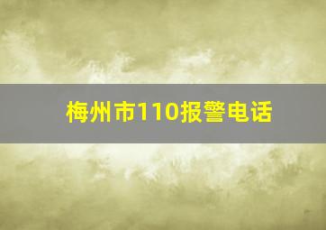 梅州市110报警电话