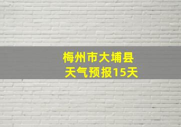 梅州市大埔县天气预报15天